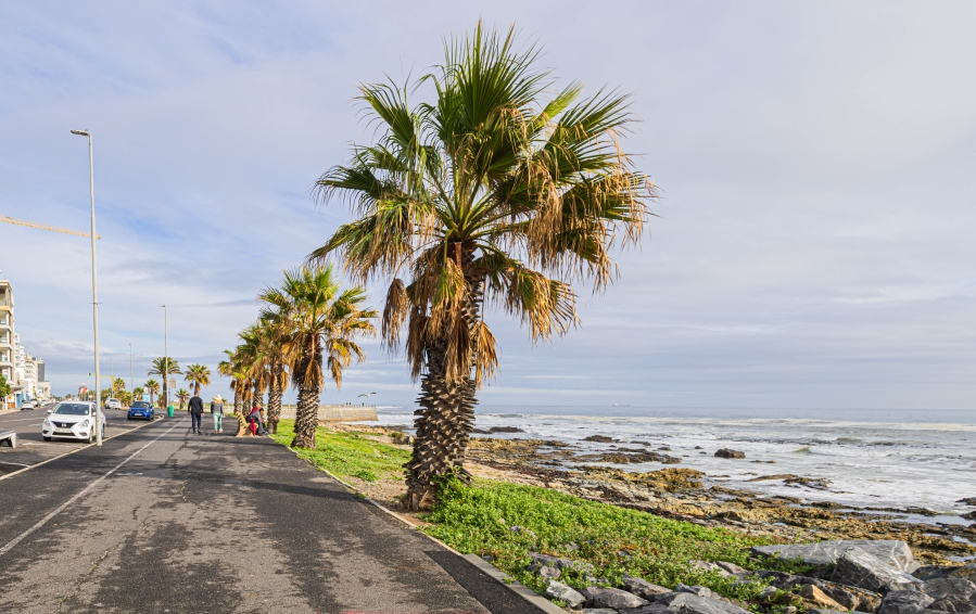 To Let 1 Bedroom Property for Rent in Mouille Point Western Cape